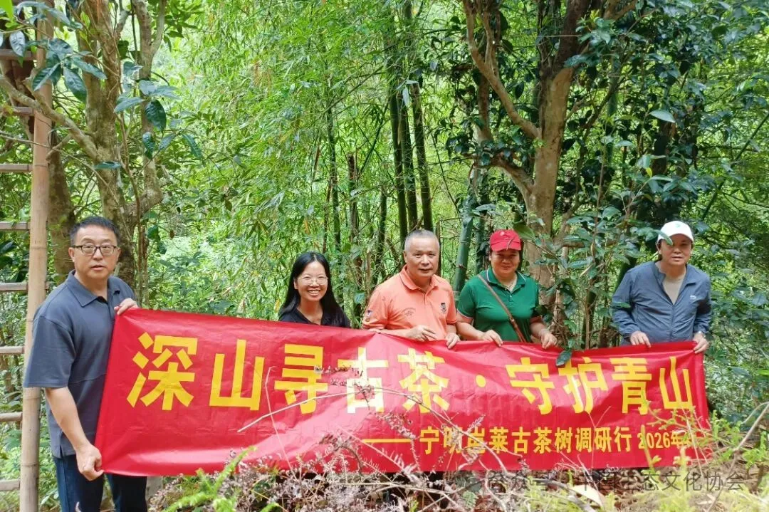 1.谷雨次日，协会会长陈崇征（左三）、副会长龙定建（右一）、秘书长唐庆（左一）赴宁明县调研中越边境古茶树与八角林共生模式特色生态产业。.jpg
